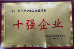 綜合十強(qiáng)企業(yè)